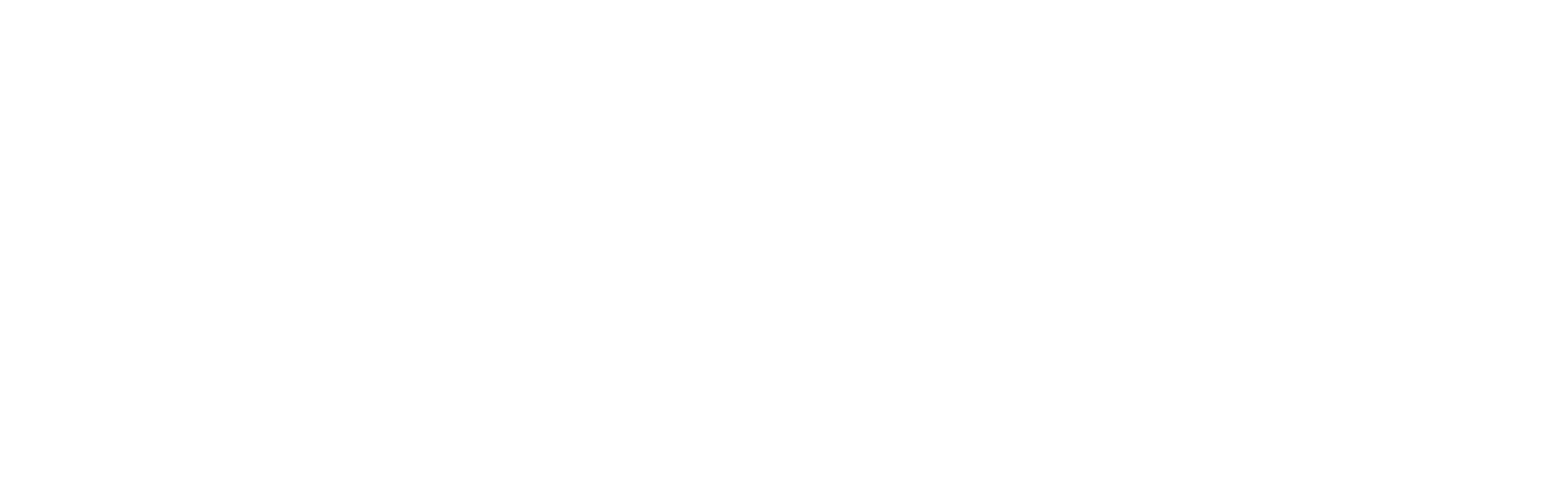TNY Staffing Corporation